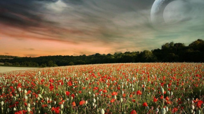 58 同城被曝大规模裁员，比例或达 30%，具体情况如何？58 同城目前面临哪些问题？